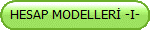 HESAP MODELLER -I-